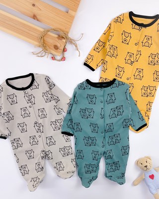 bear desen önden çıtçıtlı ayaklı mevsimlik 3lü tulum set