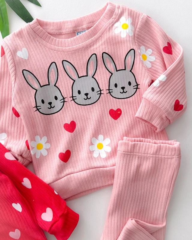 3 tavşan ve çiçekler baskılı fitilli kumaş mevsimlik 2 parça takım