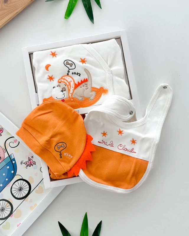 Uyuyan sevimli dinozor baskılı yandan çıtçıtlı mevsimlik yenidoğan 5 parça set