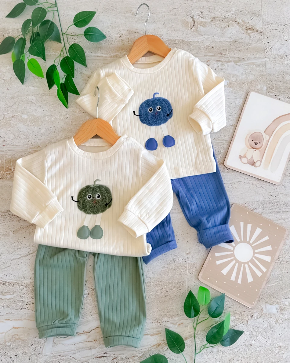 Minik kabak işlemeli mevsimlik 2 parça bebe takım 